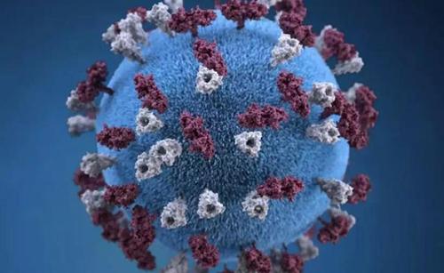 ȫ�������¹ڷ��״_�\����2829������Ӌ�_�\17205��