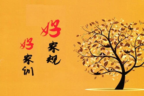 ����(xi��)��Ӗ(x��n) ���ҕ�(sh��)����(sh��)��չ�_(k��i)չ ��������(sh��)����Ʒ���кü��L(f��ng)