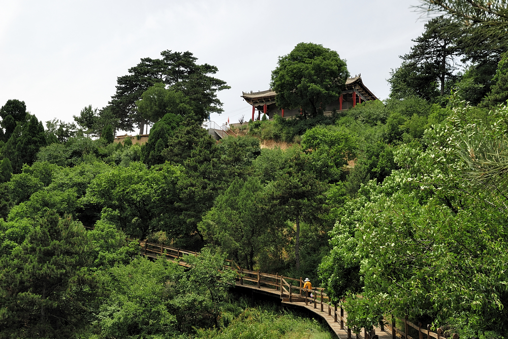 �����hס���������_չ�hʷ�W������