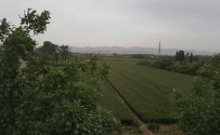 μ���и�ƽ�h�����֣�����l(f��)���������������d����
