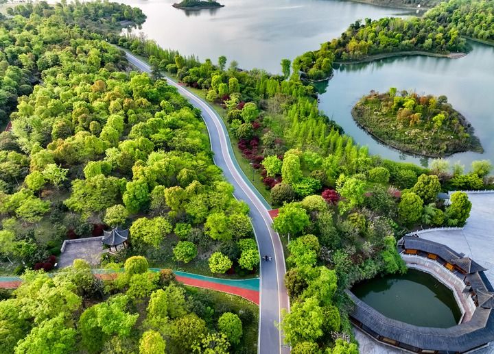 ��ͨ�^�ĸ�o����Ⱥ����������@�øС������r(sh��)�������I(l��ng)��ĸĸ����