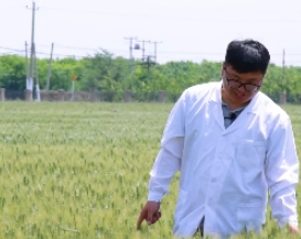 ��������ӛ���Ї������A�°͡�׃���������