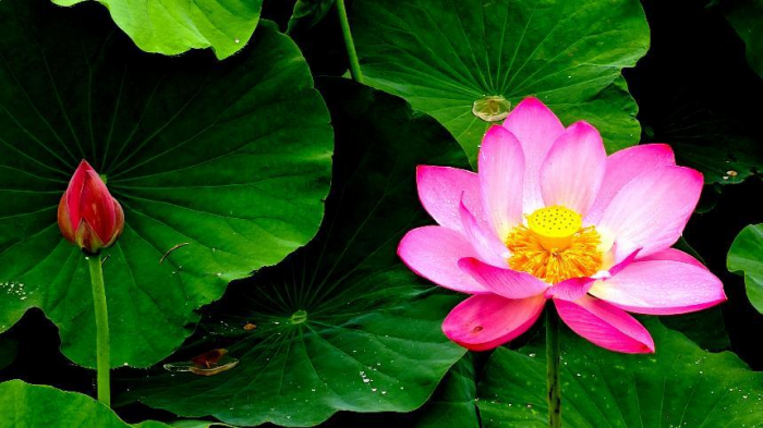 ����ߵɽ�p  �������A�