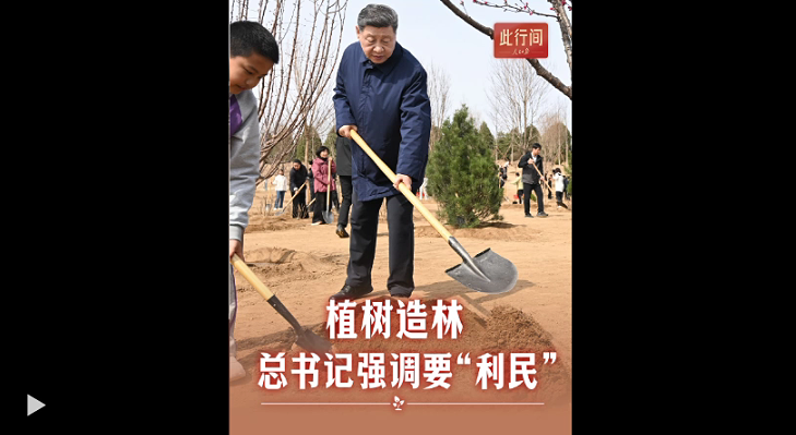 �����g��ֲ������������ӛ��(qi��ng)�{(di��o)Ҫ������