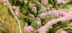 ���^��ҕ�ĵ��{�ŝO�� �����һƬ�ۼt����ˢ������(ji��)����Ȧ