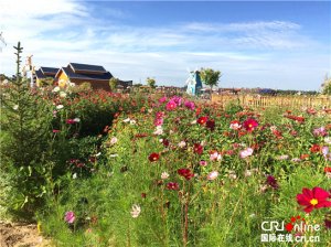 ��(j��ng)��(j��)�Ļ��R�l(f��)չ ��������r(n��ng)���׃��