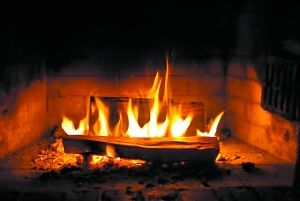 �������¡����