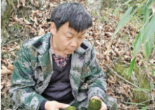 �؎X���B(t��i)֮�� ��Ҫ����֮��(��i)