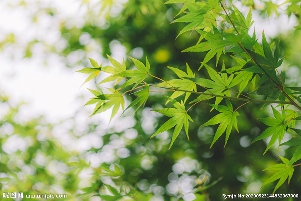 ���H������