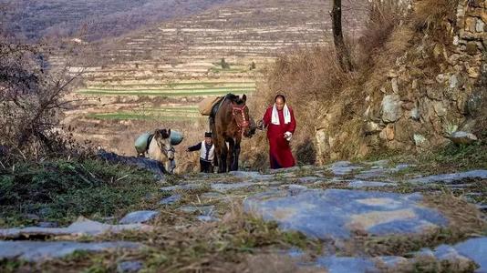 �L���R�ŵ�