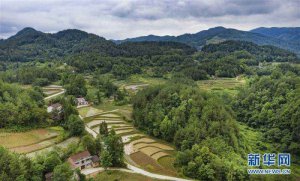 ̽�L�����l(xi��ng)��WУ�и�