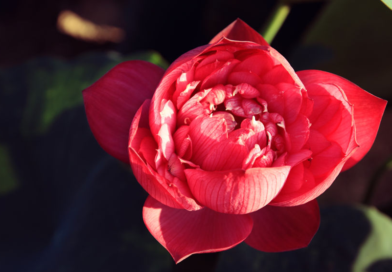 ��������ʲô�@�Ӽt�� �������������