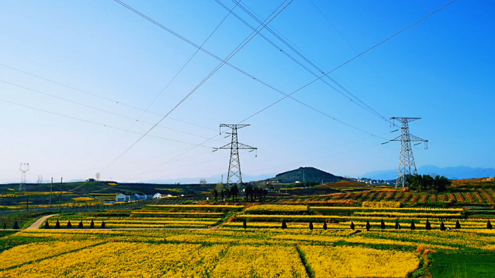 ����һ�껨ʢ�_�����늾W(w��ng)չ�L(f��ng)��