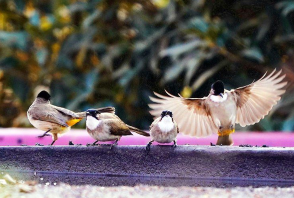 ��ҕ�X��������������݅^(q��)�w����һȺ��С���`��