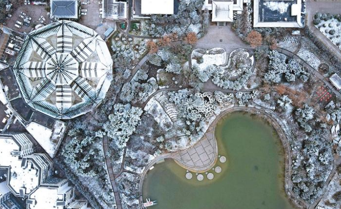 ѩ��ųǝ��o