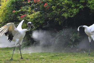 ���������Q����z����h������������ǰ������
