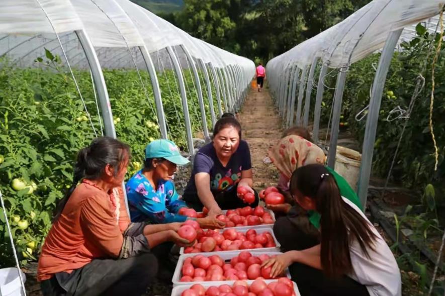 �����򿂕�ӛ���񡱼ҳ����ԒԽ��æ�� ��Խ���X̤��