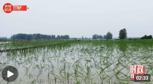 �r���ɕ��fحՄ�r�I(y��)�l(f��)չ Ԓ������ϡ�������ӛ�cȫ�����f(xi��)ί�T���̇���