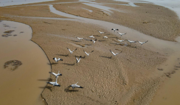 ��ҕ�X������S�ӝ��ʡ�����o�^(q��)�����:���B���] ���B(t��i)����