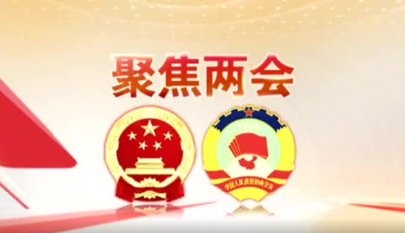 ���c�LՄ���۽��ɕ� ��������ӛ�σɕ�