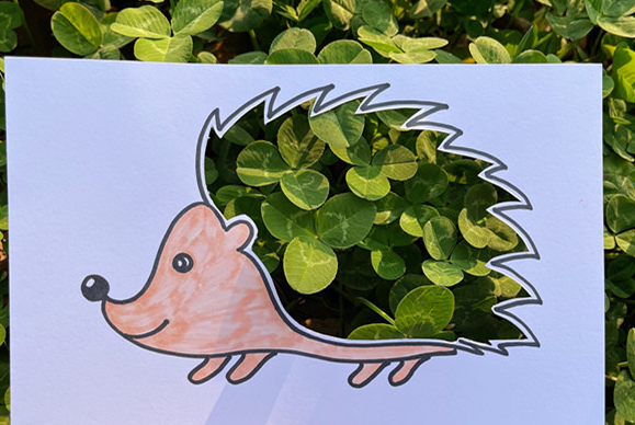 ��������������μ�����Rμ�^(q��):һ��o�����Ă�ˇ�g(sh��)�հ�