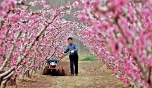 �������^�ڴ���