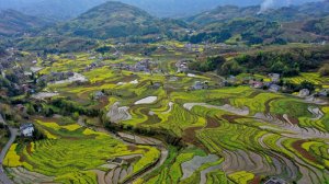 ���M�h�������