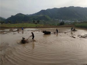 ������ƽ���h�����´壺��ţ�Fţϲ���