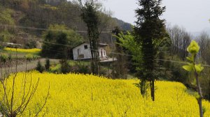 ��������ɽ�l(xi��ng)��ɫ