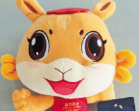 ���ʡʮ���\(y��n)�����������족