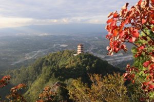 �h�������l(xi��ng)�߿��(zh��n)���t�~Ⱦ�����箋