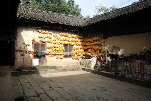 �����Ѝ��޿h���Ժ�ӣ��v159���L(f��ng)�걣�����