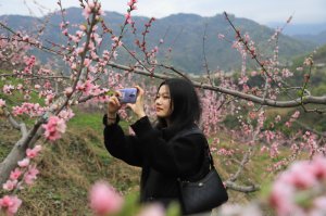 �����Ѝ��޿h���Ի��d�r(n��ng)���Ի��d�塢�Ի�����
