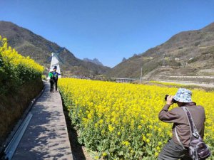 ��������Ѝ��޿h��ǧ���Ͳ˻��`�� �����l(xi��ng)���뮋��