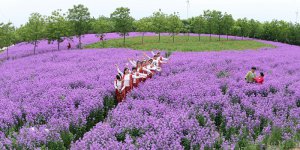μ���д���h�ٳ�ĵ���@�_�@