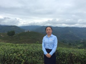 �������^(q��)����С�W(xu��)�̎������꣺̤̤��(sh��)��(sh��)���£��J(r��n)�J(r��n)��������