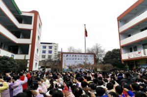 �h�������l(xi��ng)�h��ţС�W(xu��)ӭ���_�W(xu��)��һ��
