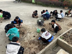 �h�������l(xi��ng)�h����(sh��)�(zh��n)���ČW(xu��)У�_(k��i)չ�ڄ�(d��ng)��(sh��)�`