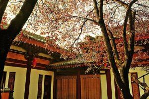 ����ǧ��ĺ�ζꃲˡ������ļ��������鸯����