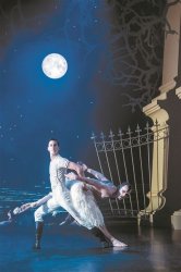 �@�桶���Z�����������������Z��