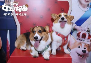 ���Ⱥ��Ą�(d��ng)��(hu��)Ƭ��Ů���Ŀ»���������Ї�(gu��)