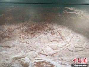 �½���(k��)܇�{���״ΰl(f��)�F(xi��n)���w�족����ڮ�