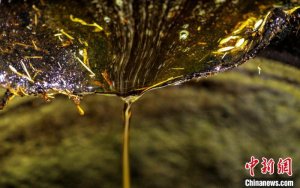 ̽�L����ľե�͹�ˇ �ŷ���ե���˷����ͼ���