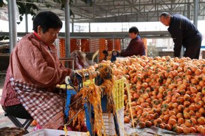 �����ƽ�h���z��I(y��)�ɞ����îa(ch��n)�I(y��)�l(f��)չ����܊