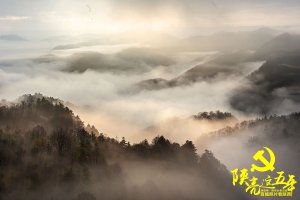 ���؎X�ϱ����������ٷ���Ƭ��������zӰ��Ʒչ