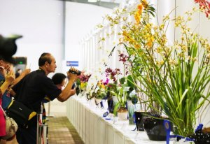 5�f����Ꭷ�m������չ�� ģ��չʾ�mˇ��Ʒ