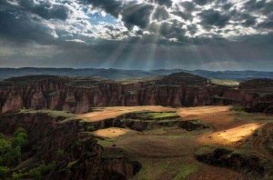 ����:ꃱ�����