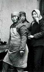 ���ڣ�����ǿƔzӰ���չ1978-2002��