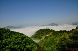 ����(zh��n)���L(f��ng)��