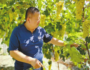 �v���z·���� ���нz·���񡪡���һ��һ·�����h����������Ո�